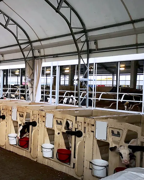 Carpa Storex: alojamiento para ganado