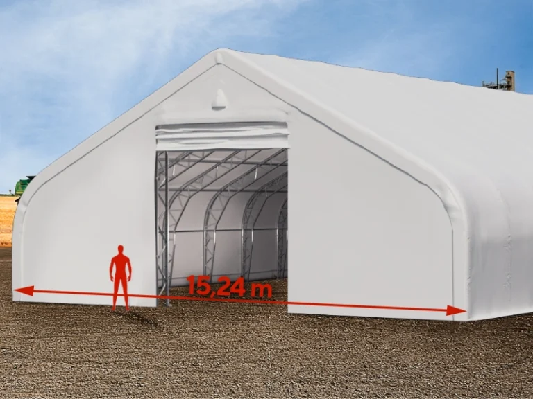 Vega-HS-carpas