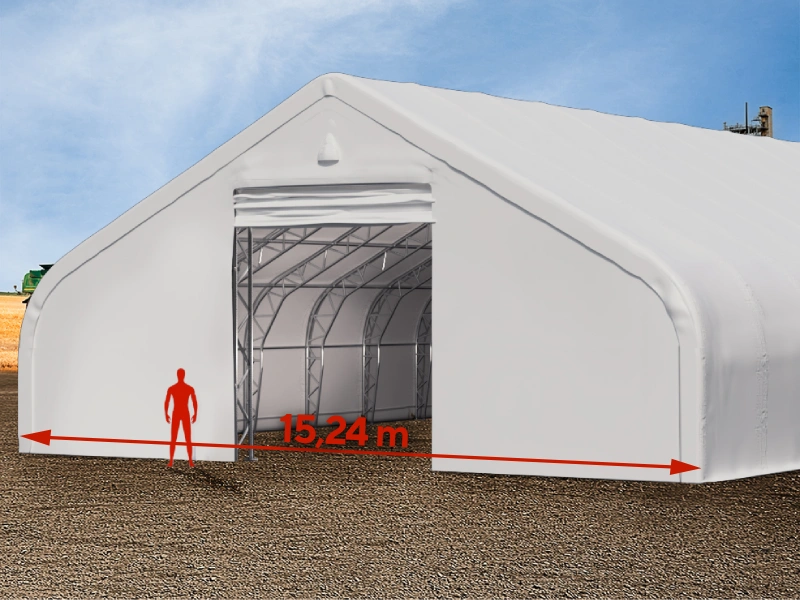 Vega-HS-carpas